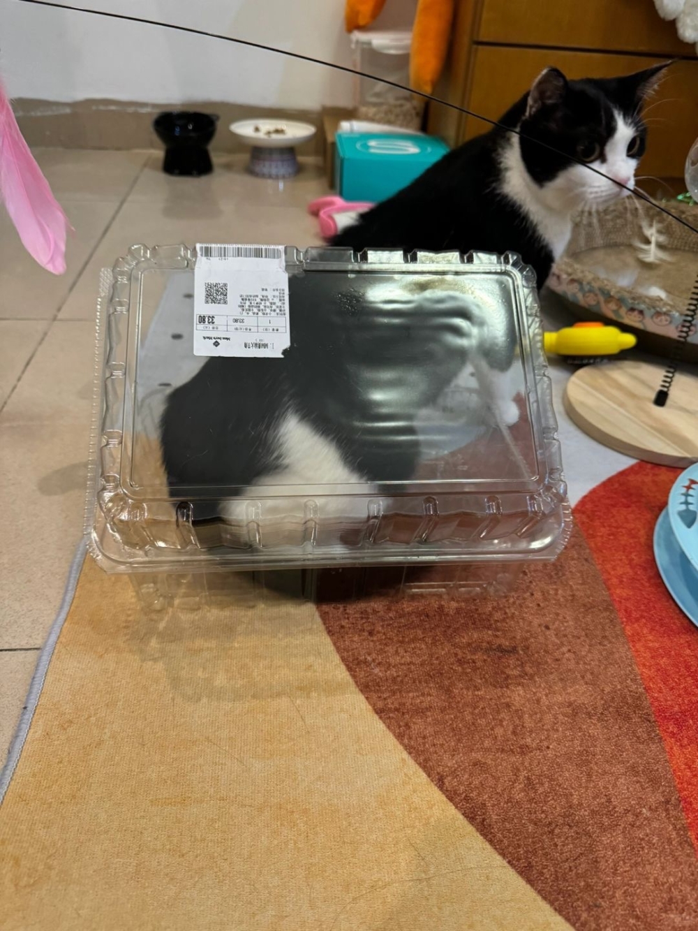 奴才：但你似乎很快樂喔