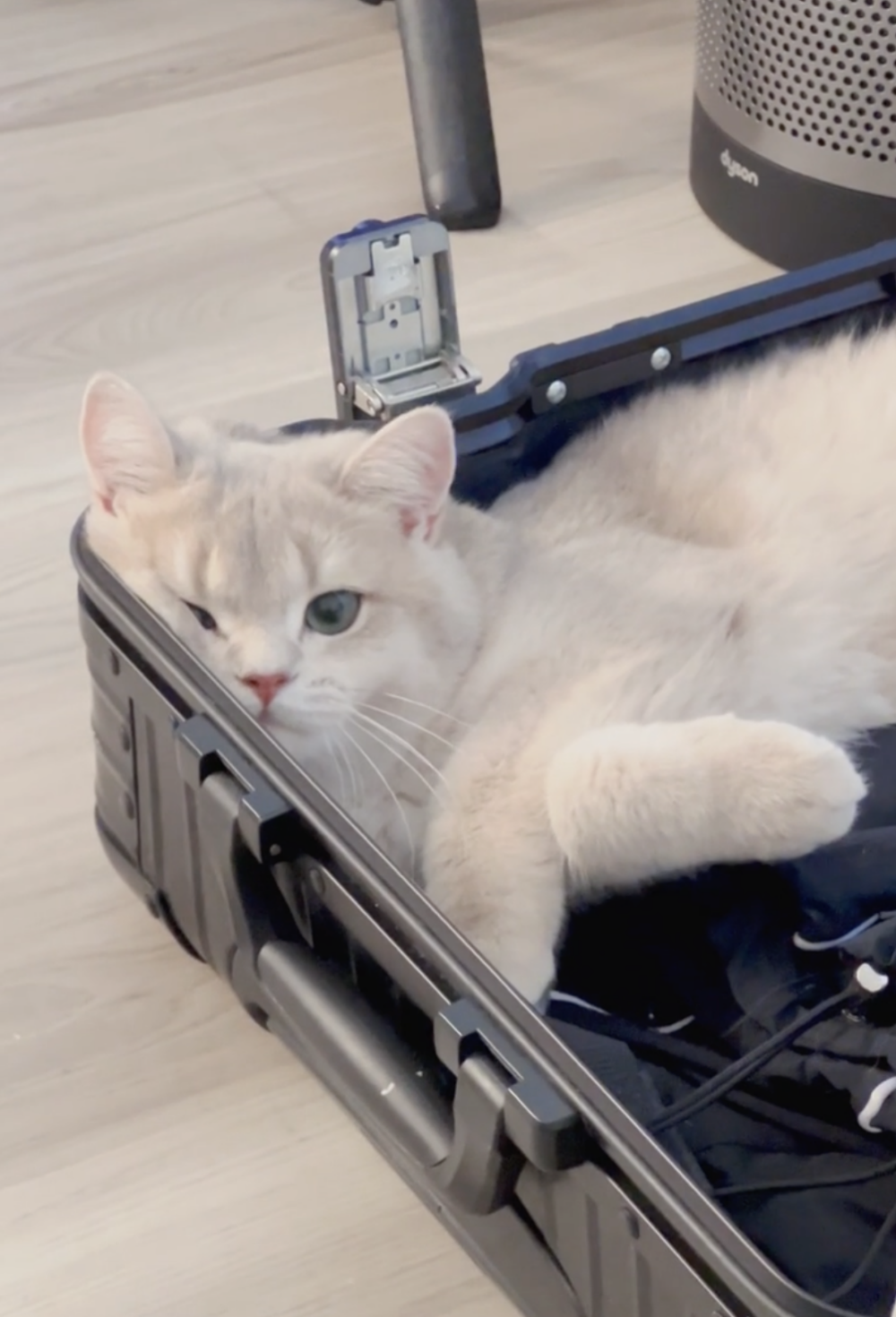 奴才：你這樣不行啦