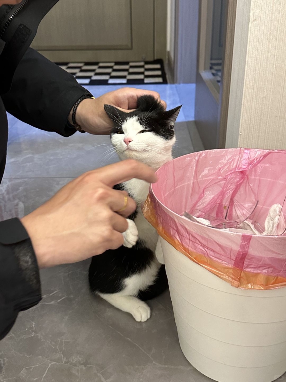 奴才：你嚴肅一點啦