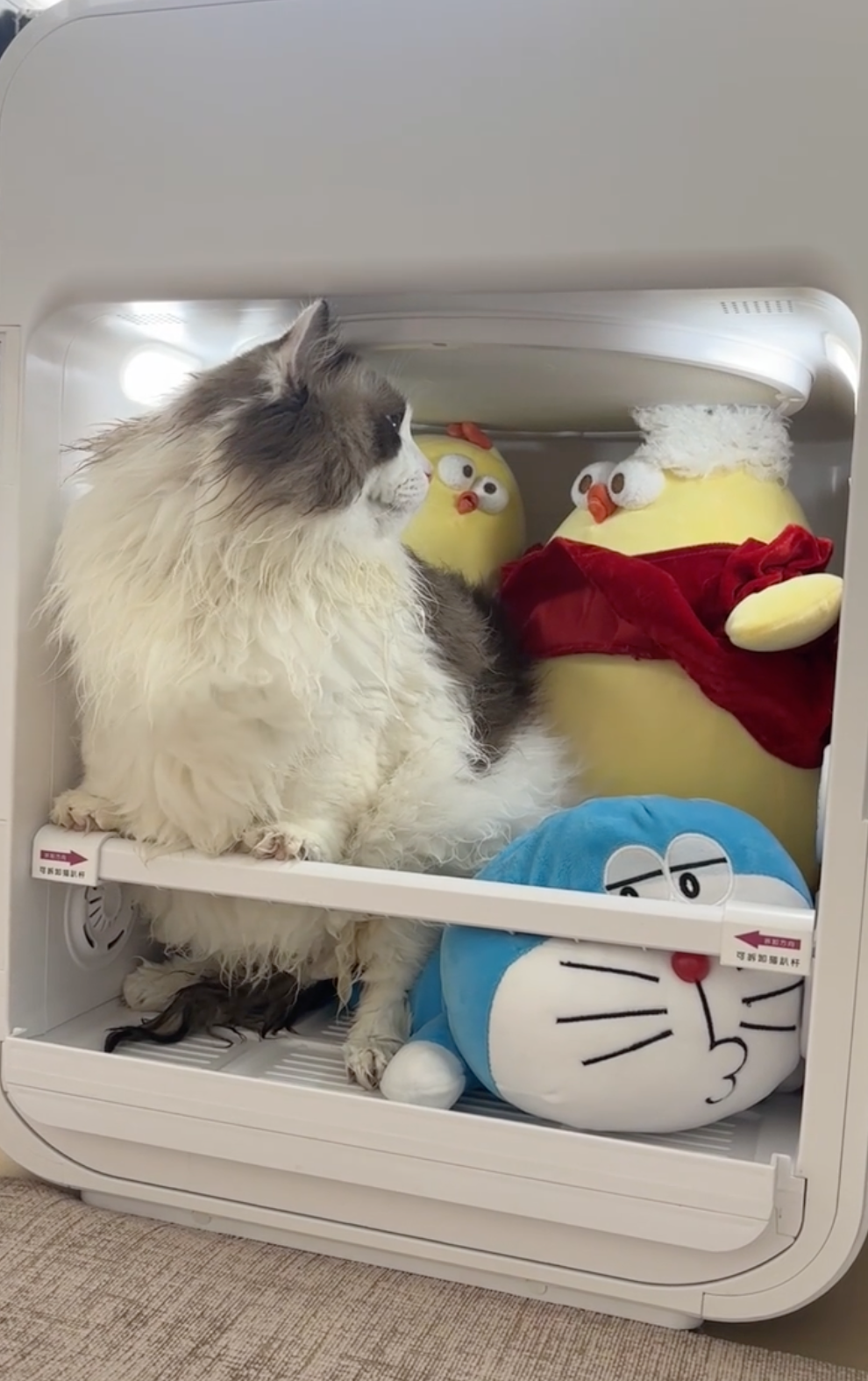 奴才：就一下下而已啦