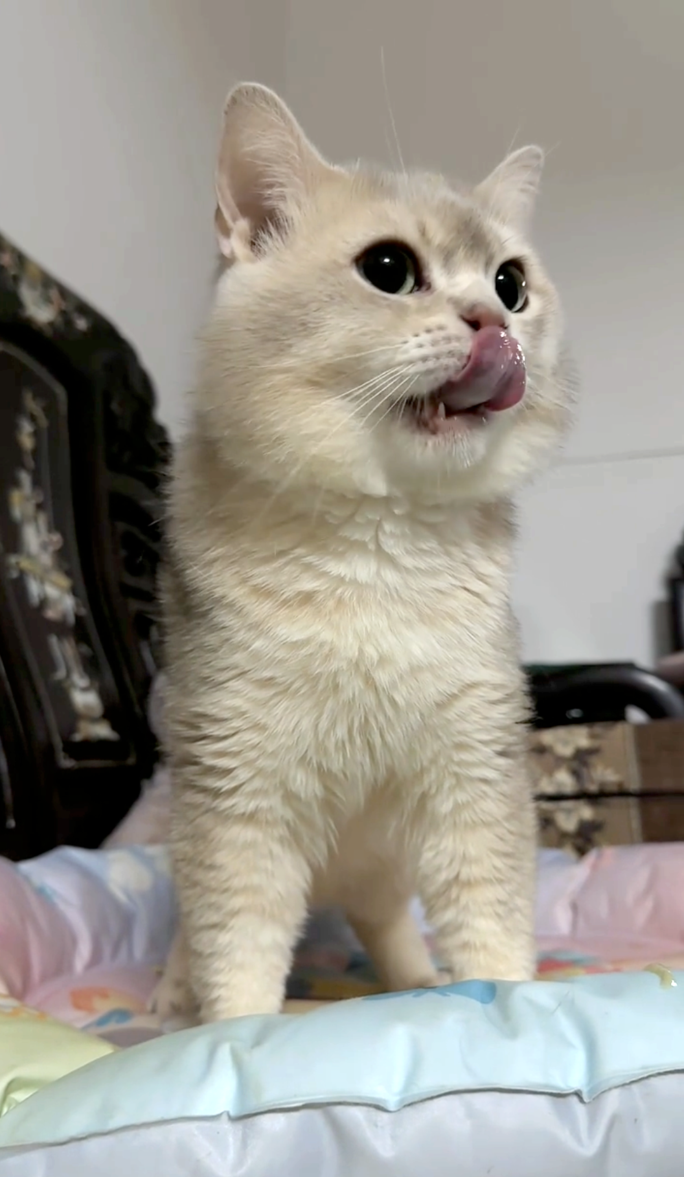 奴才：不行！病了就要治療