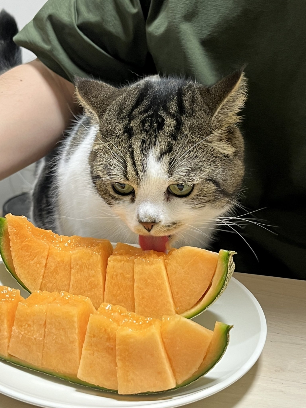 奴才:這不是切給你吃的啦