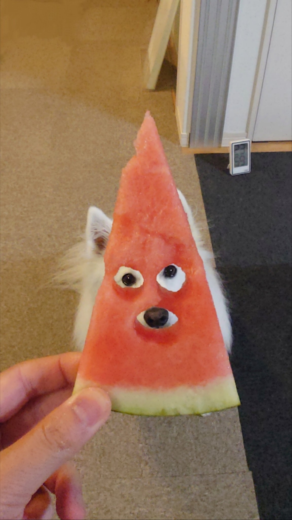 奴才：給我擺拍一下啊