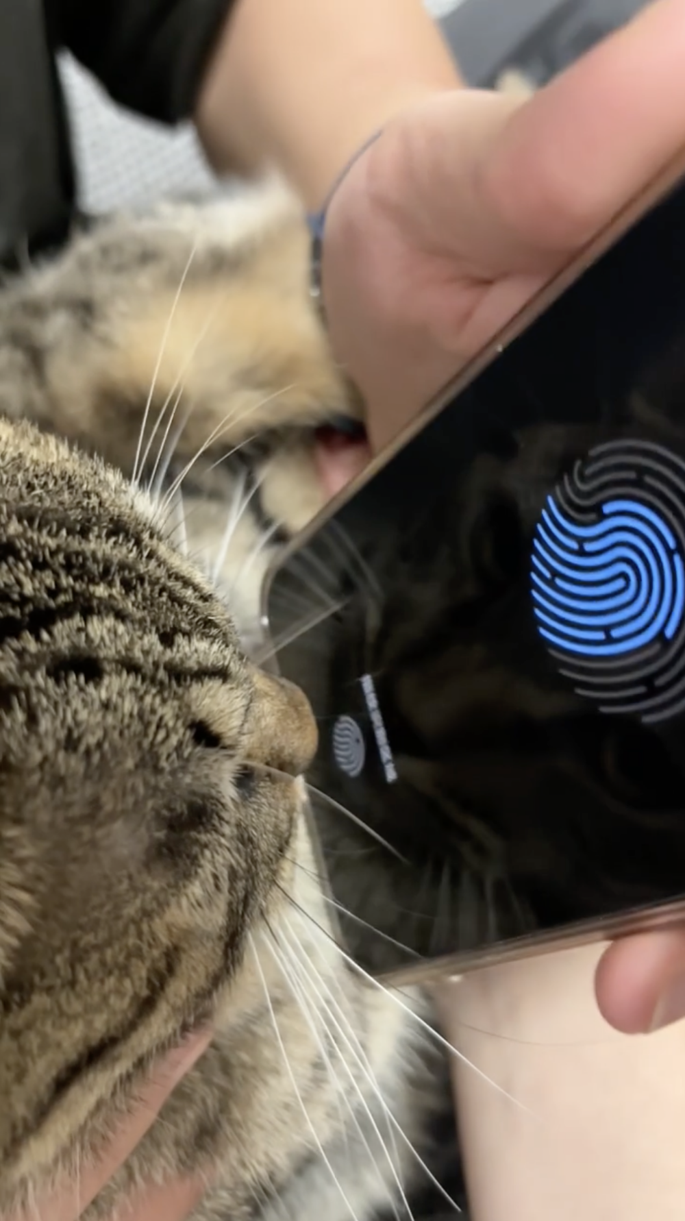 奴才：不會，我留有後手啦