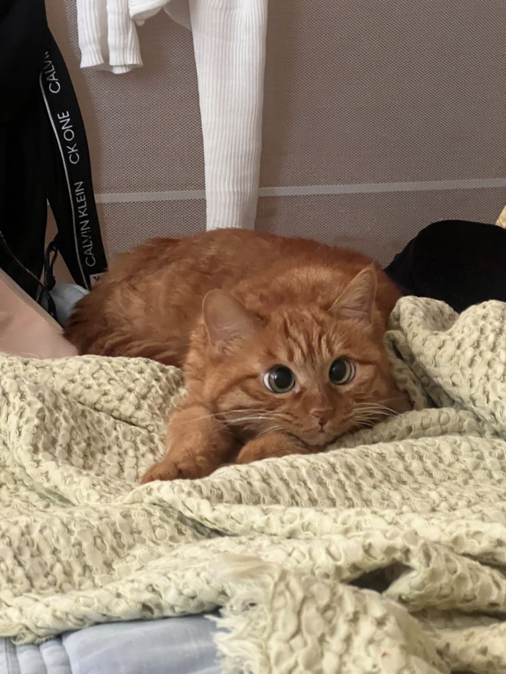 奴才：可是我睏了