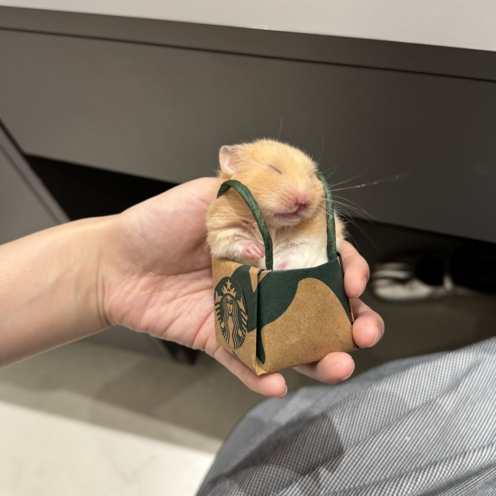 奴才：過獎了啦