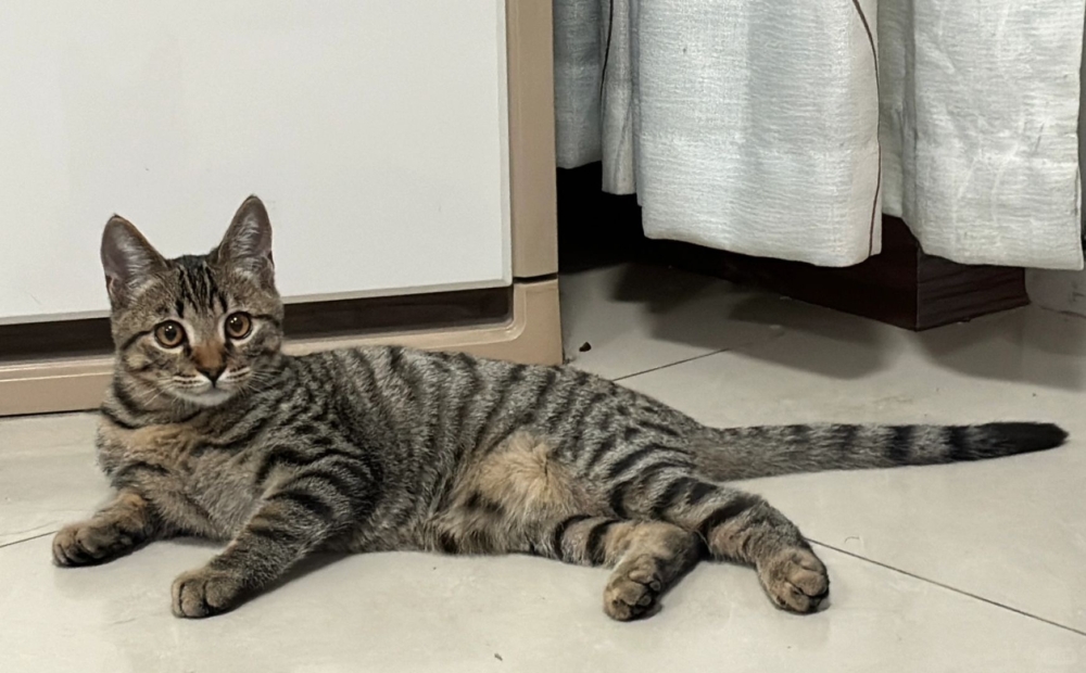 奴才：當然沒有啦～