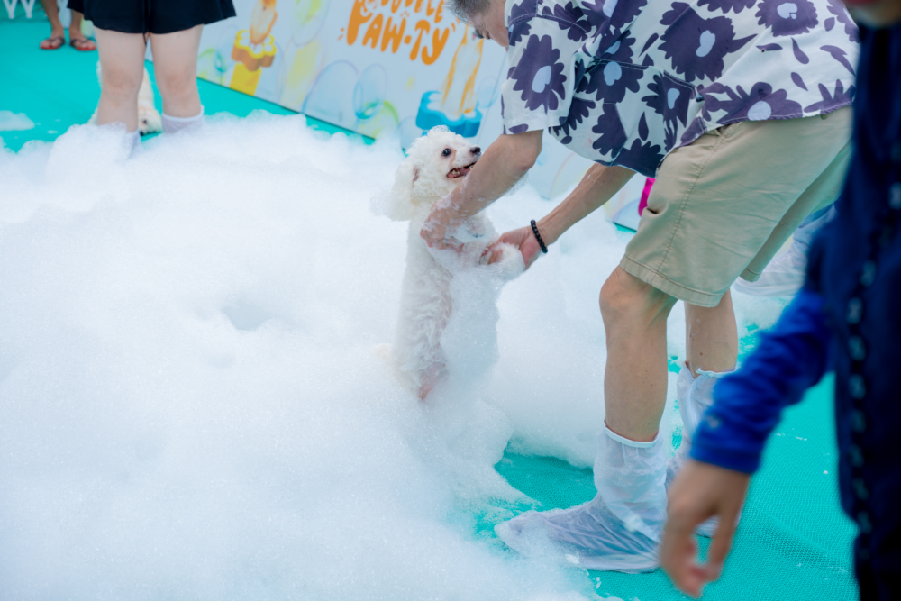 有專業攝影師為萌寵及主人拍下動人泡泡照！