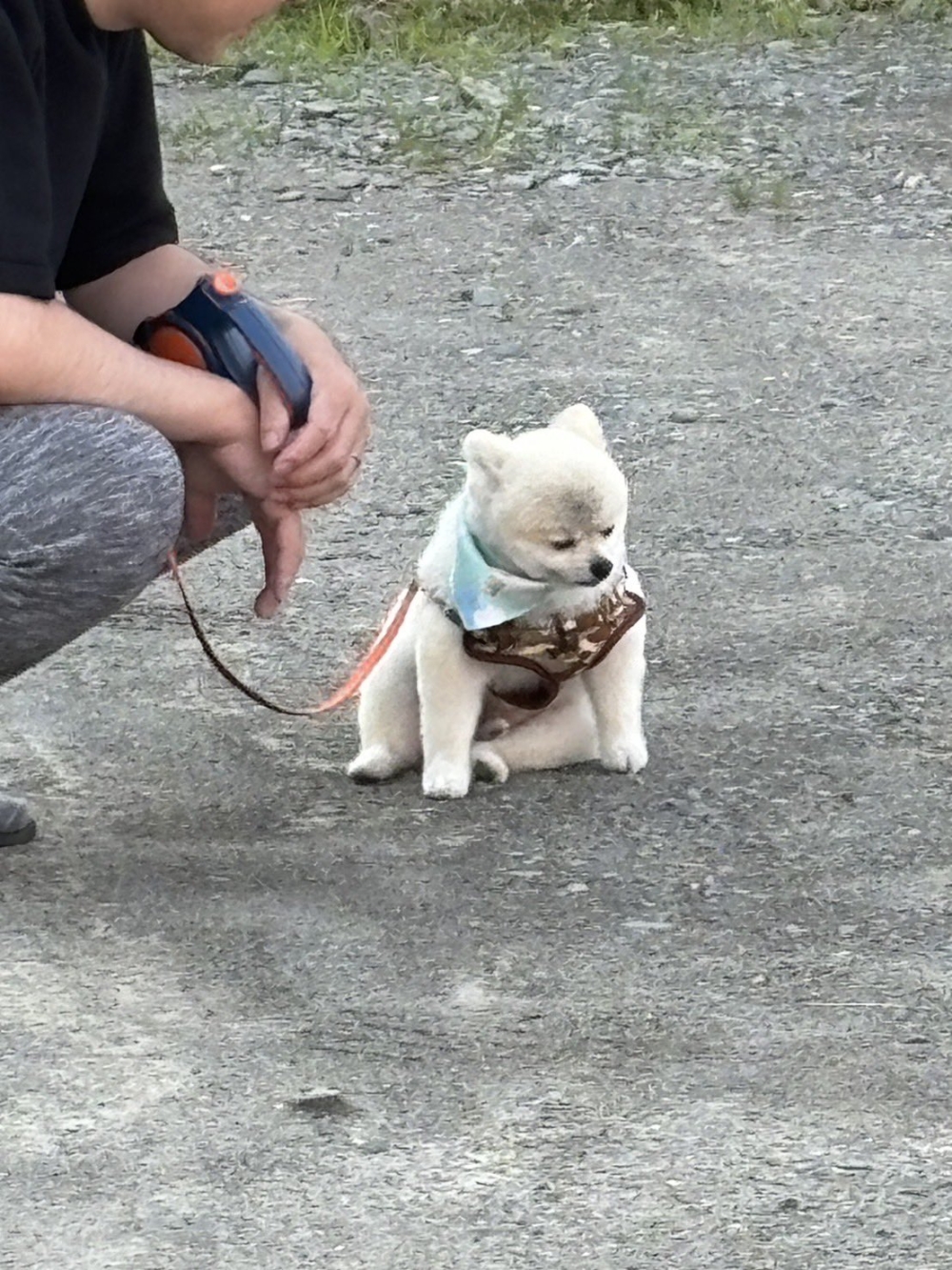 奴才：多幾步路就到家了