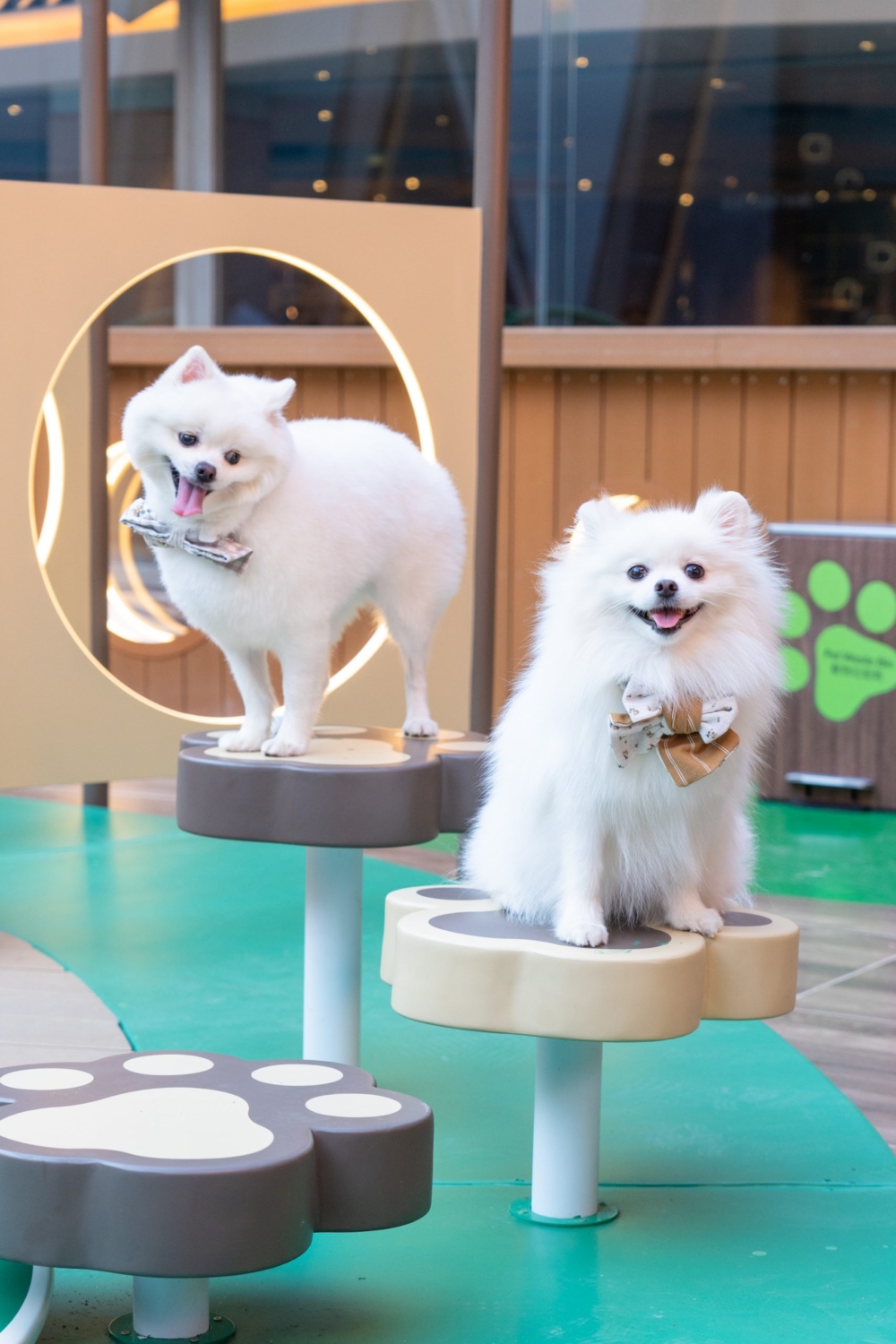 Pets Park寵物同樂園。