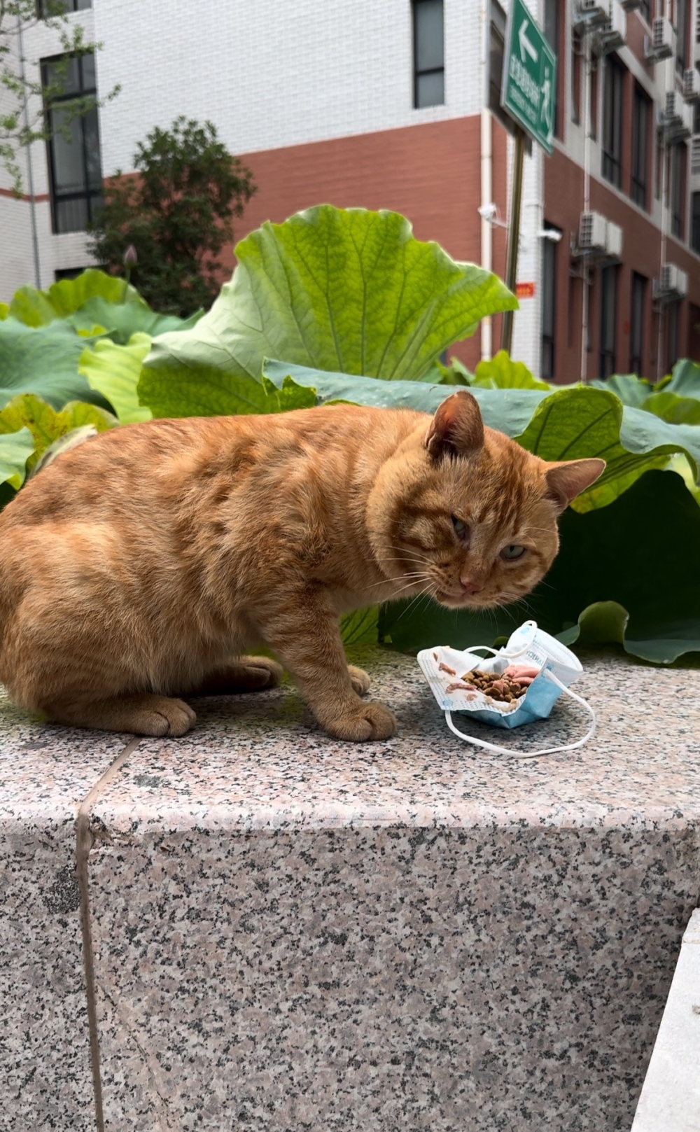 學妹：別擔心，我還會來照顧你的