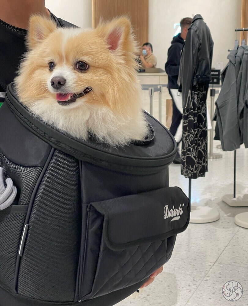 所有寵物必須乘坐寵物車或入袋。