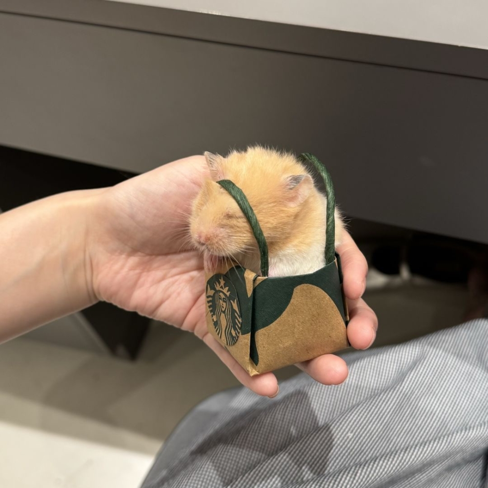 奴才：你先用幾天啦