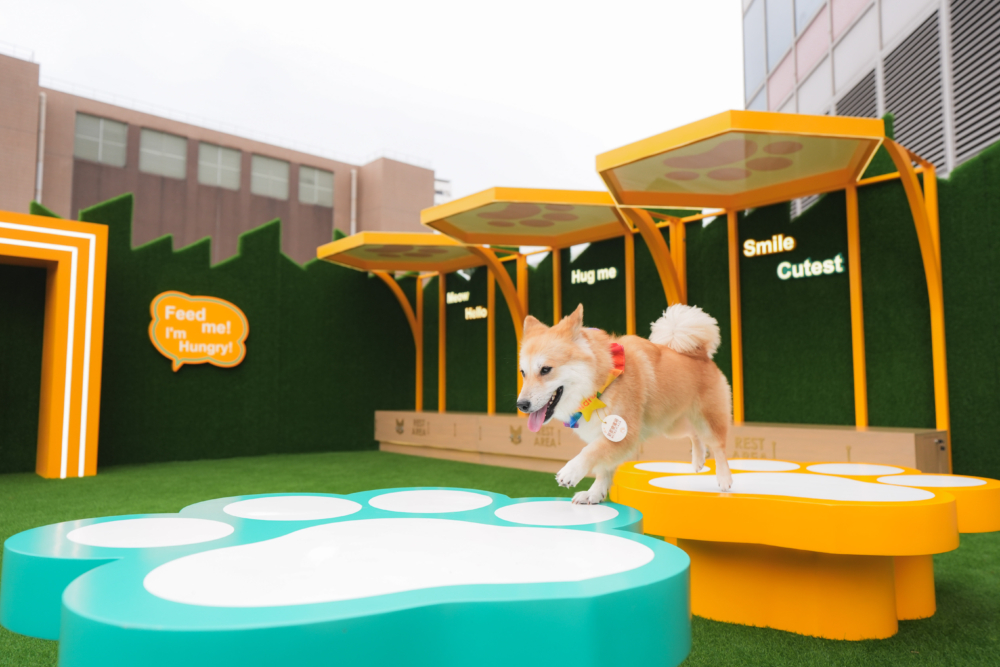 「歷奇區」擁有讓毛孩鑽出鑽入、跑前跑後、跳高跳低的跑。