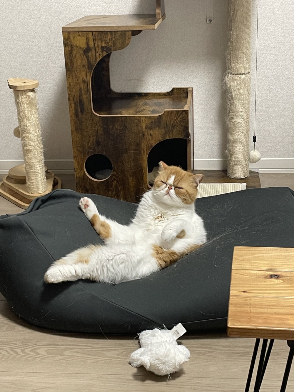 奴才：夠你奇葩嗎？