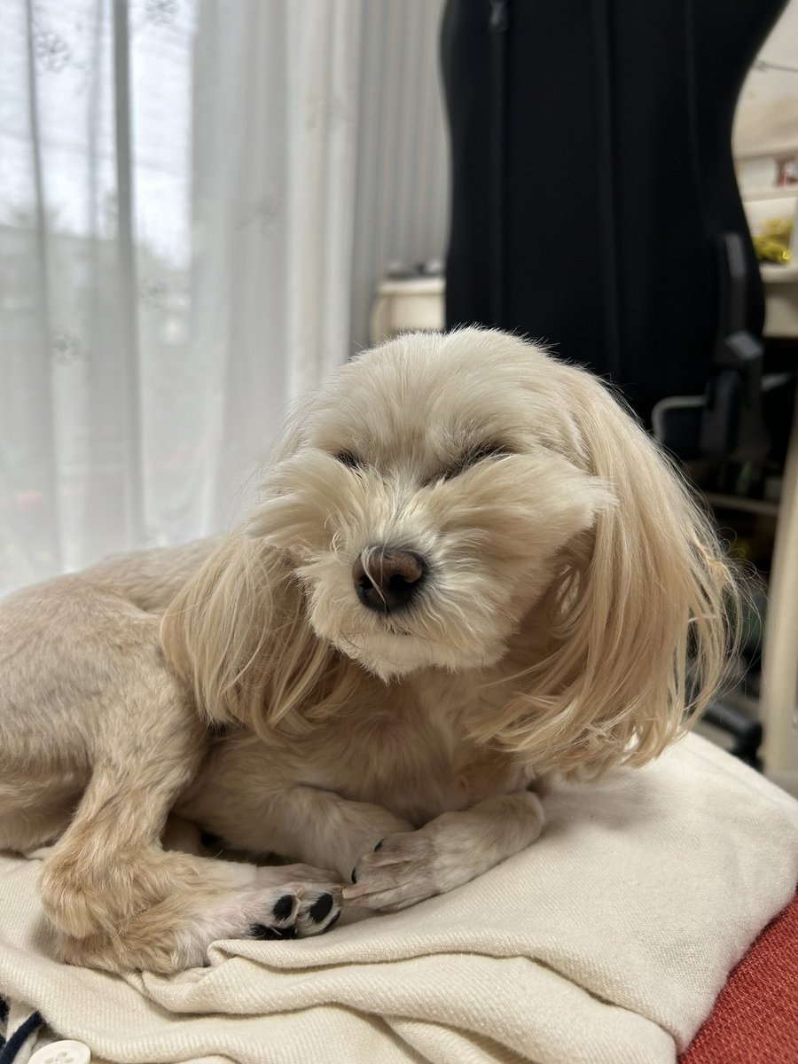 奴才麻麻：這樣我會吃醋喔