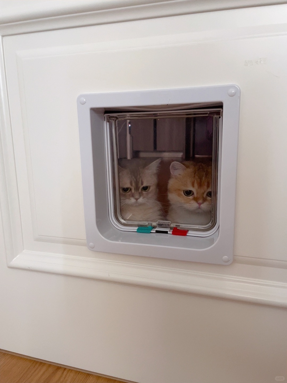 奴才：你們太調皮了啦