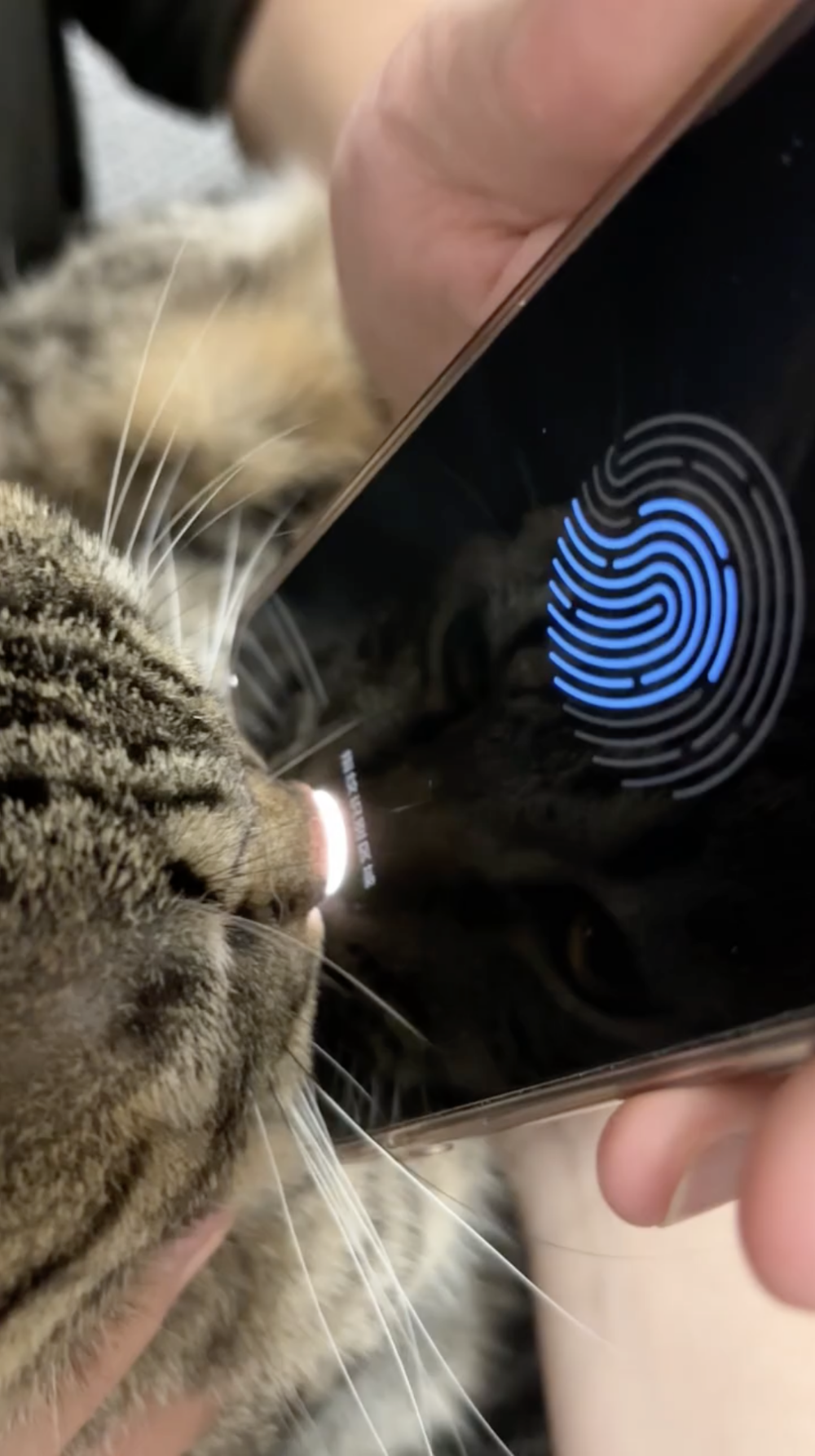 奴才：所以很安全啊