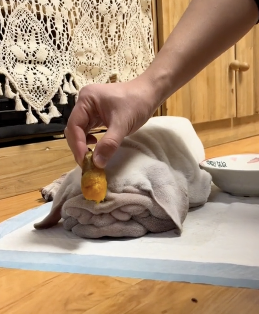 奴才：那你想不想吃嘛