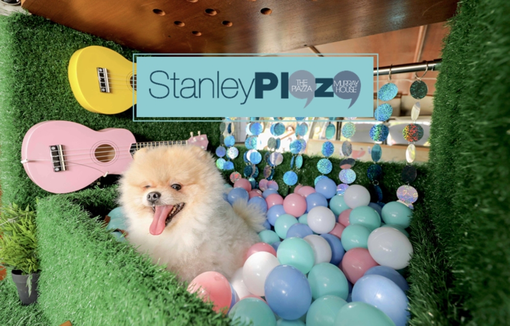 赤柱廣場可說是港島區最寵物友善的商場之一。