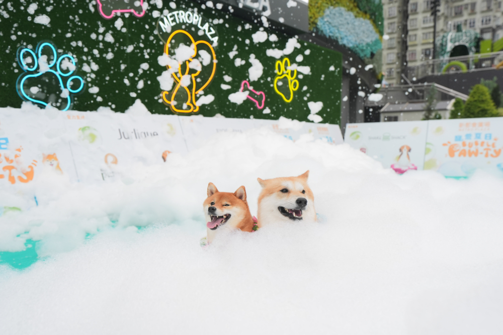 「泡泡狂歡派對」