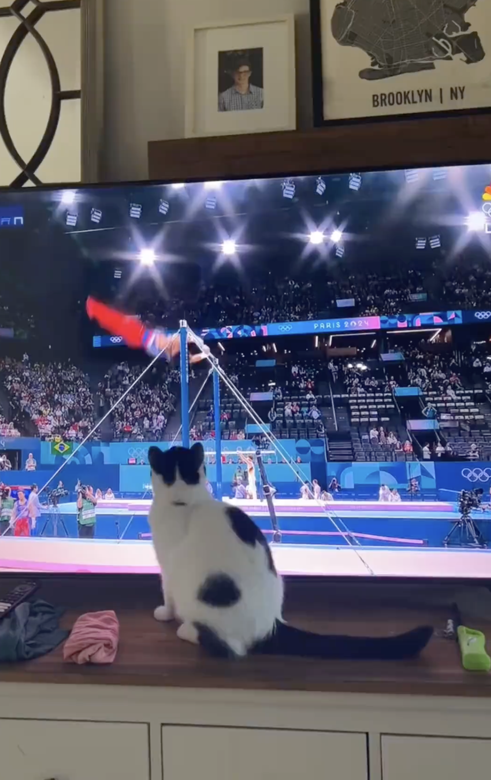 奴才：你搞錯了吧