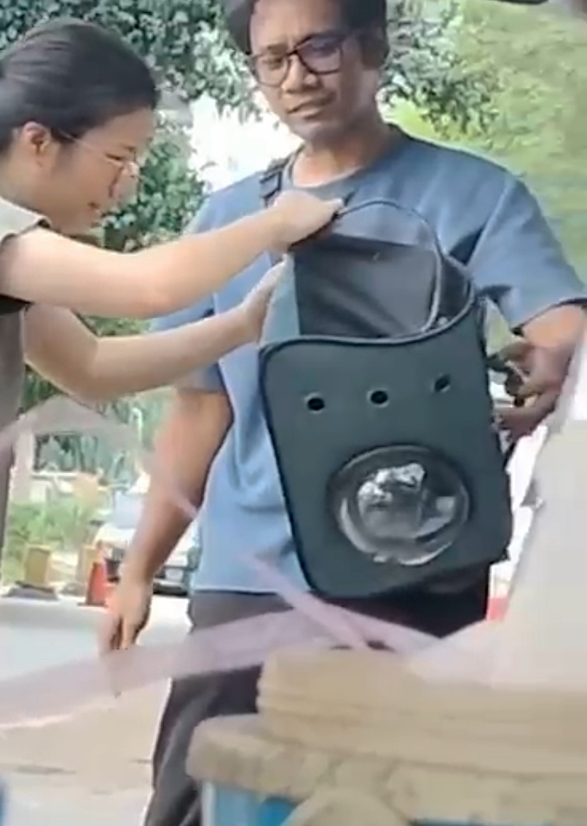 司機將貓包和藥包送達貓中途手裡~