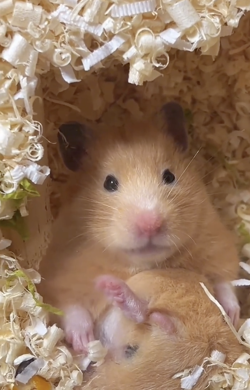 奴才：你這樣也很不健康啦