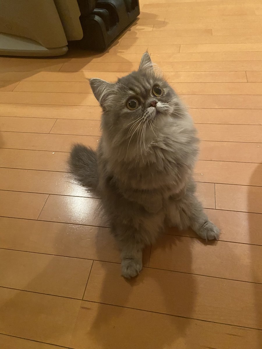 奴才：那我自己吃囉