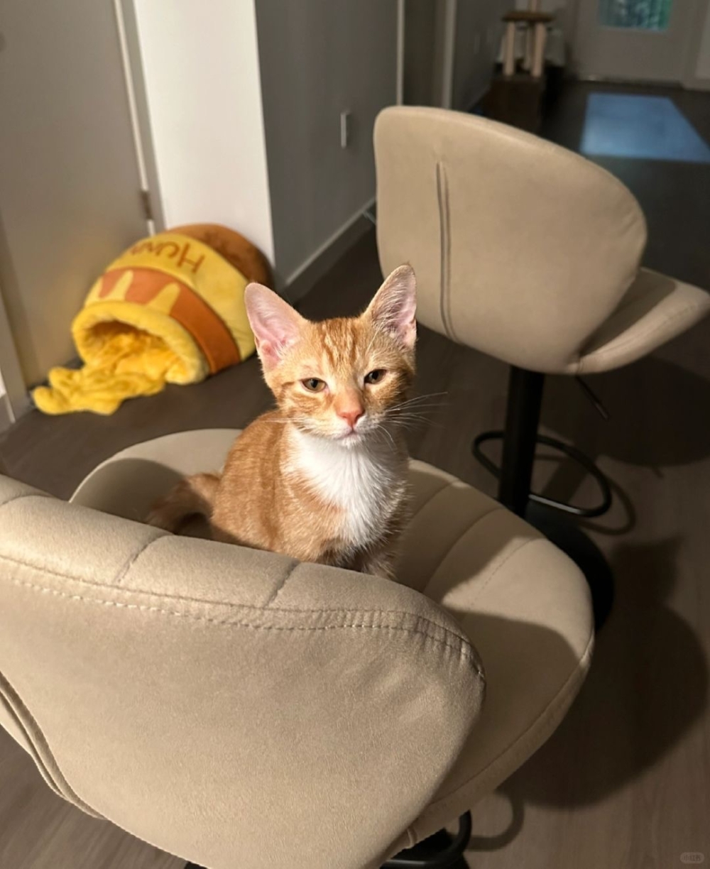 奴才：好啦！這次確實是我的不對