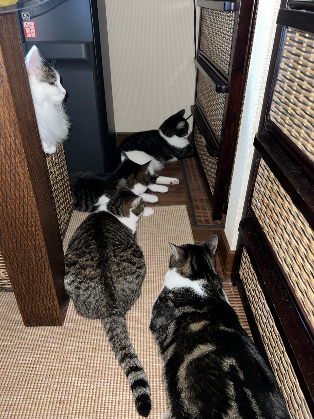 奴才：你們怎麼了？