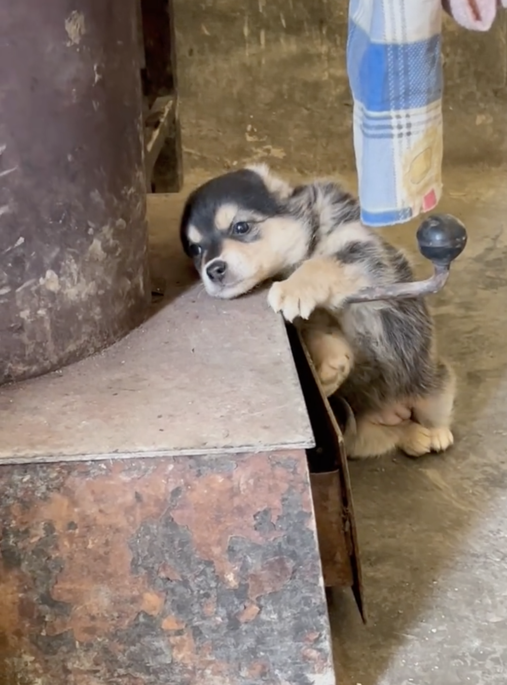 奴才：但是這樣會睡不好欸