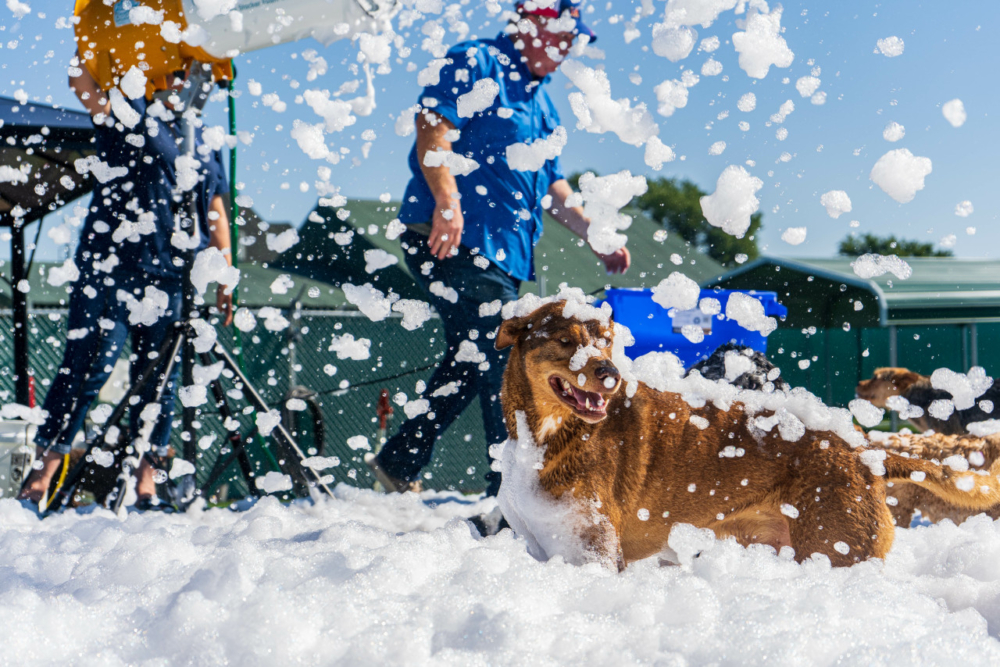 新都會廣場會免費送出30個「泡泡狂歡派對」名額。