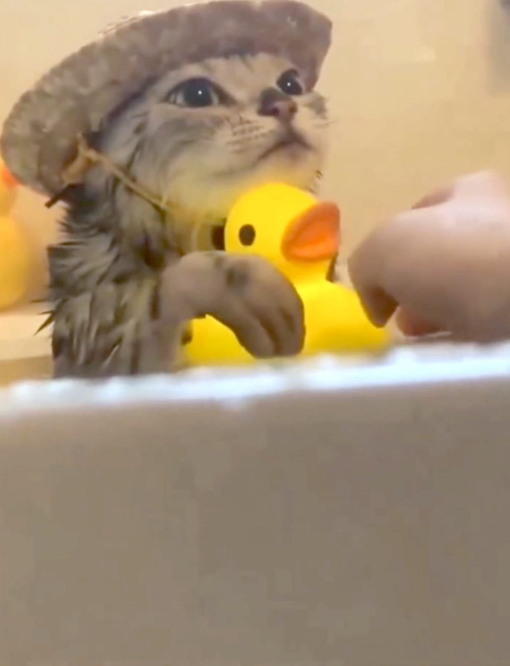 奴才：好懂得感恩的寶寶