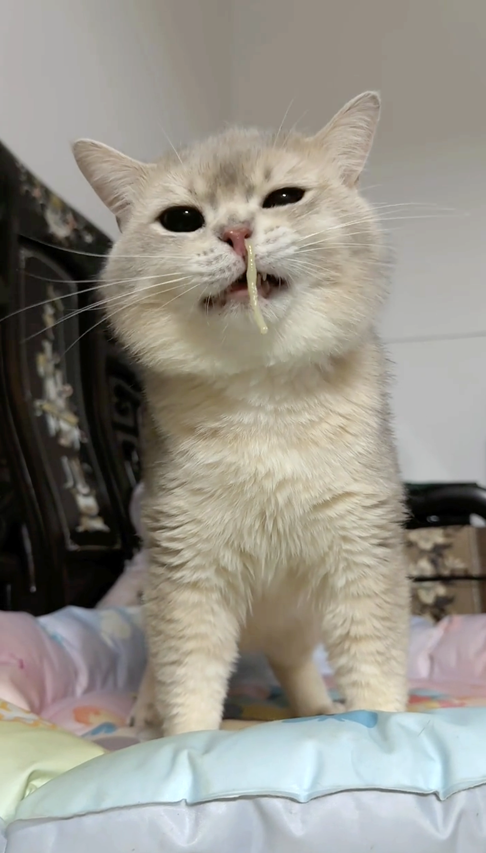 奴才：再去一次醫院吧