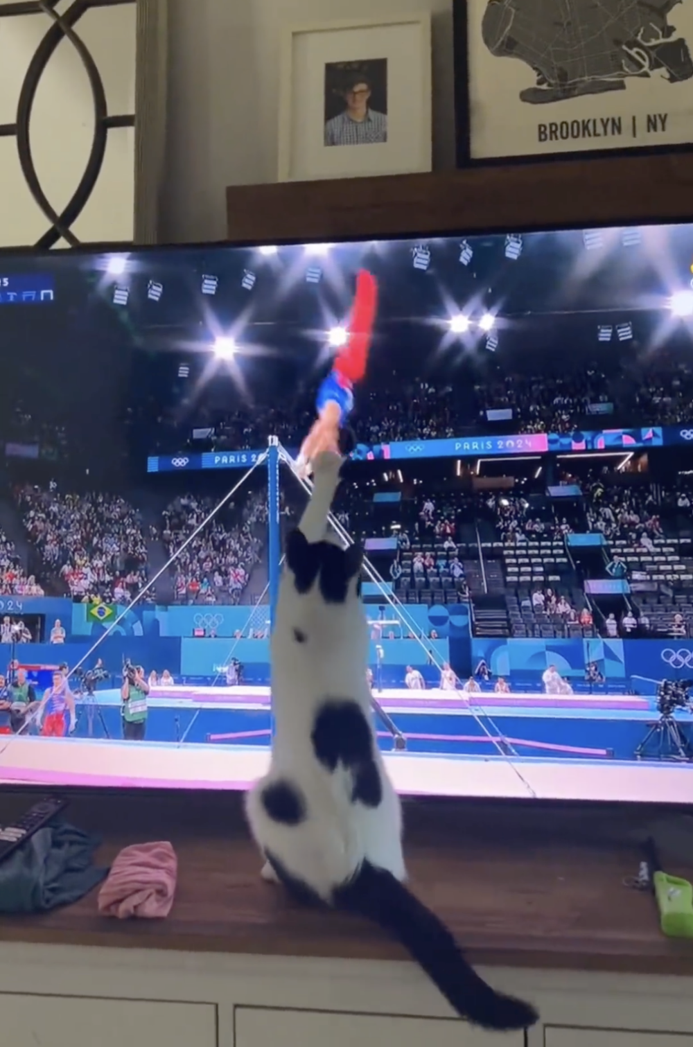 奴才：所以說我肯定不會欺騙你的