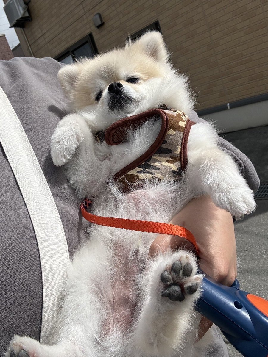 奴才：抱抱抱，行了吧