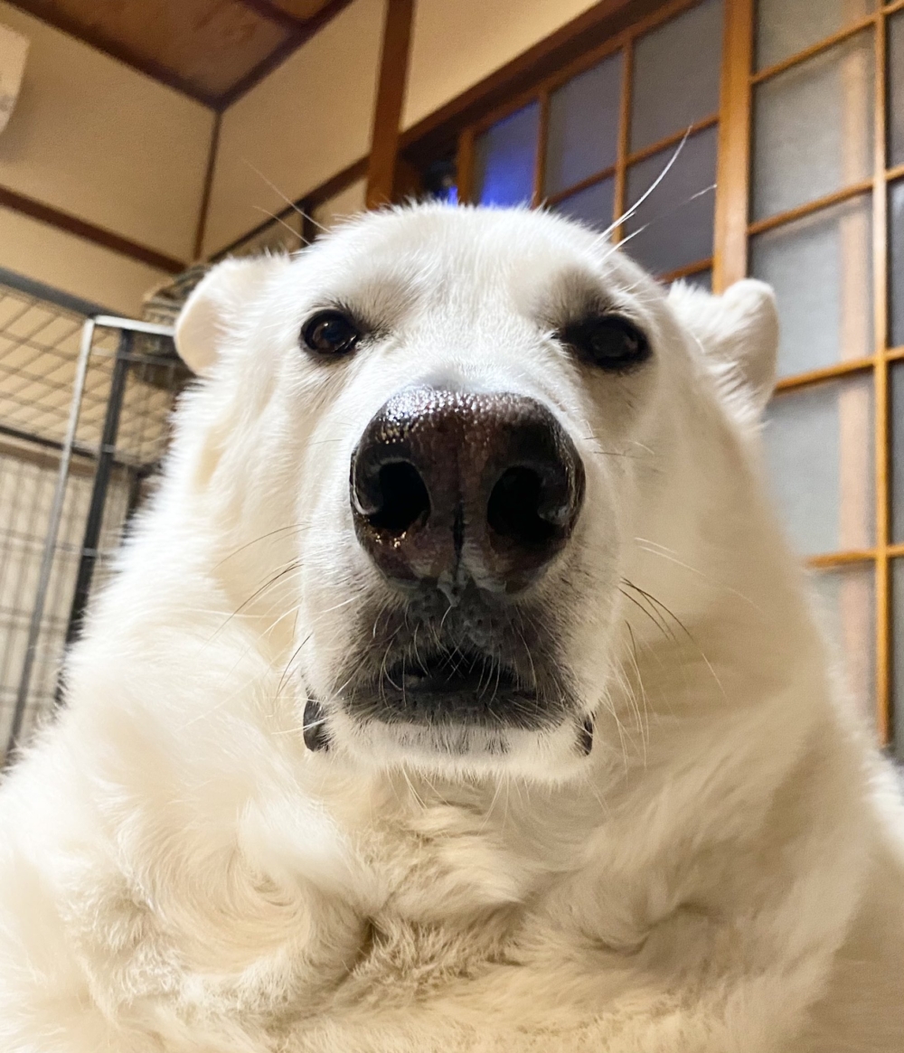 奴才：就是一點點意外的驚喜囉