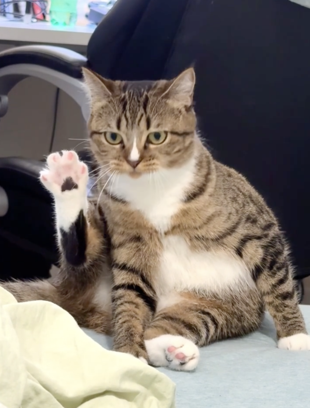 奴才：你還好嗎？