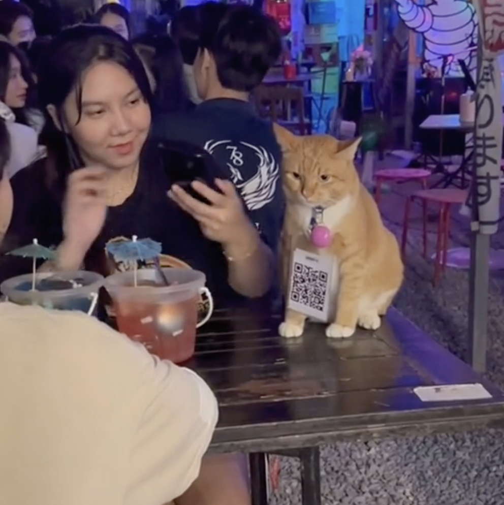 Tony脖子掛著二維碼喔！