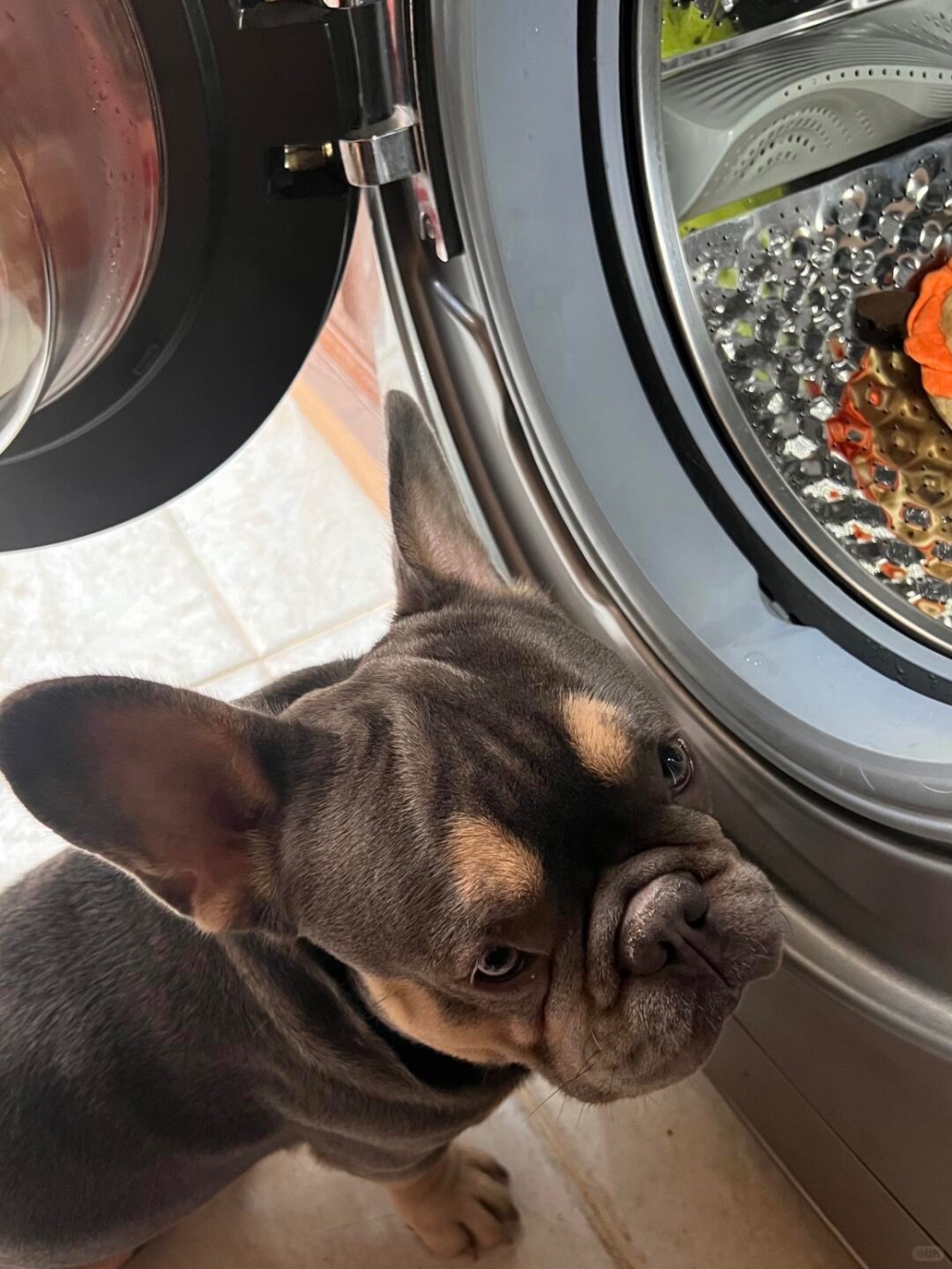 汪：它們會沒事的吧？