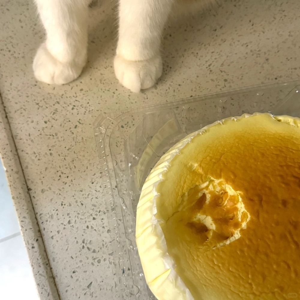 奴才：我怎麼就不太相信呢