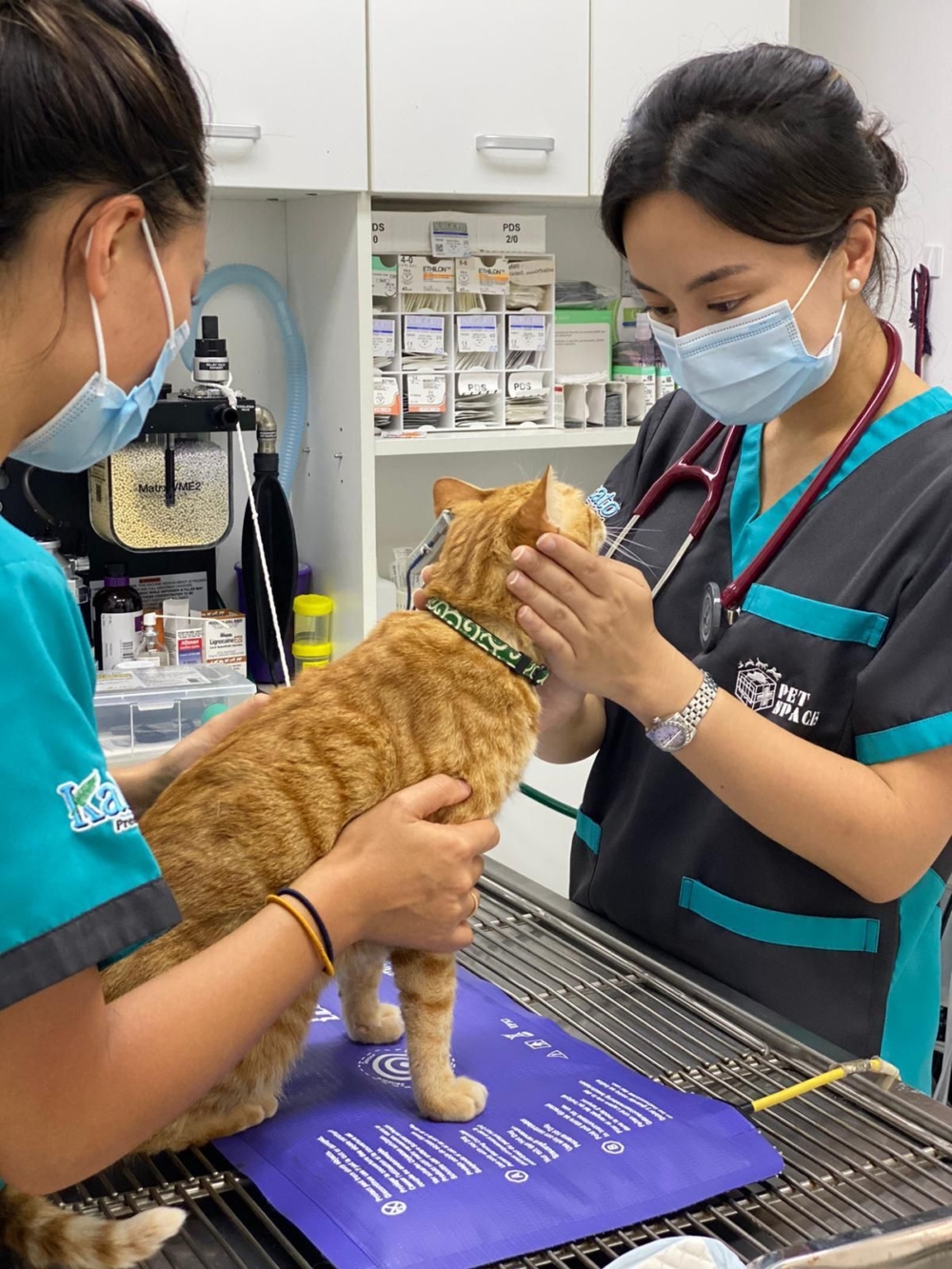 專一動物診所。