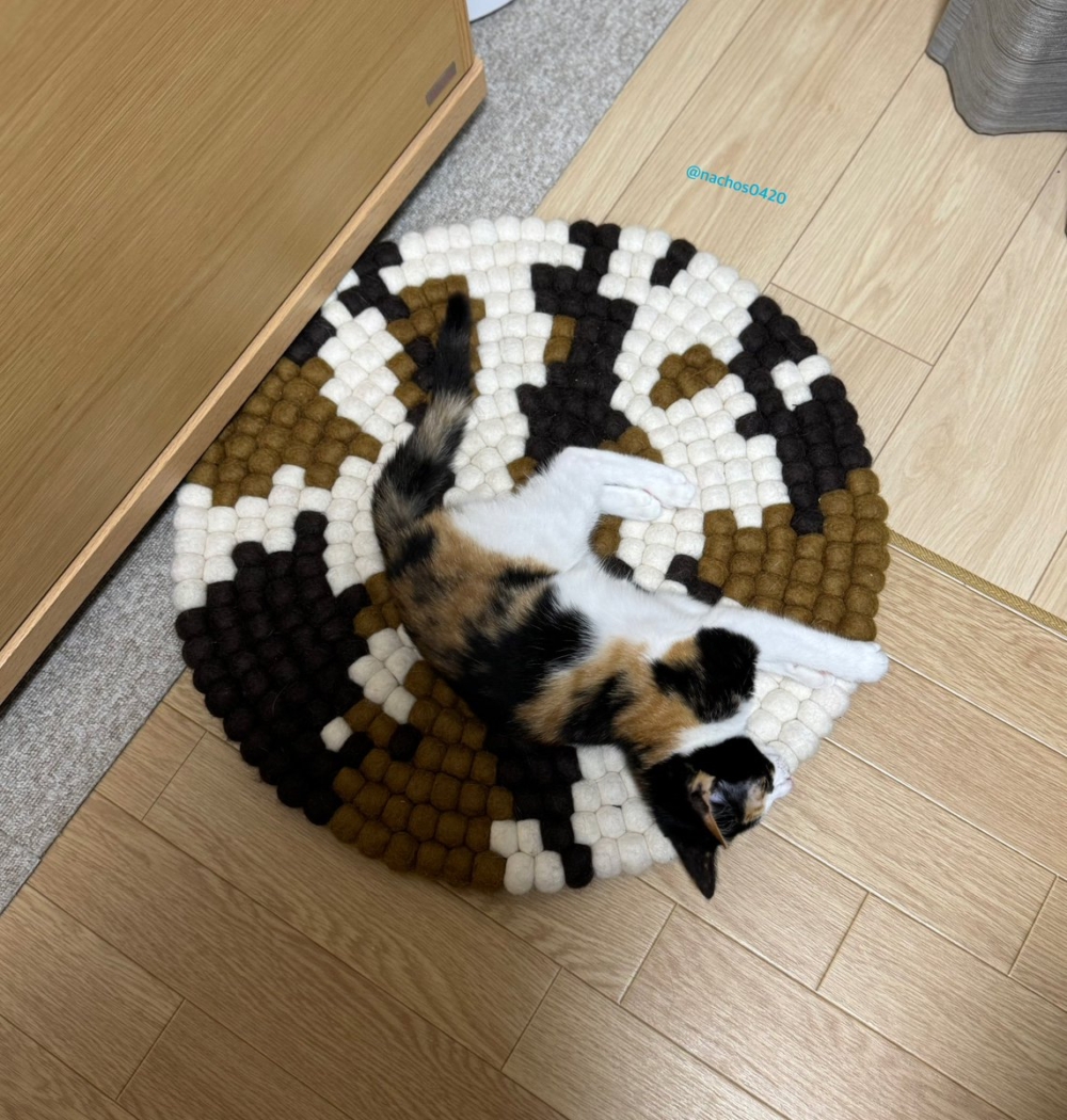 奴才：害我找不到你欸