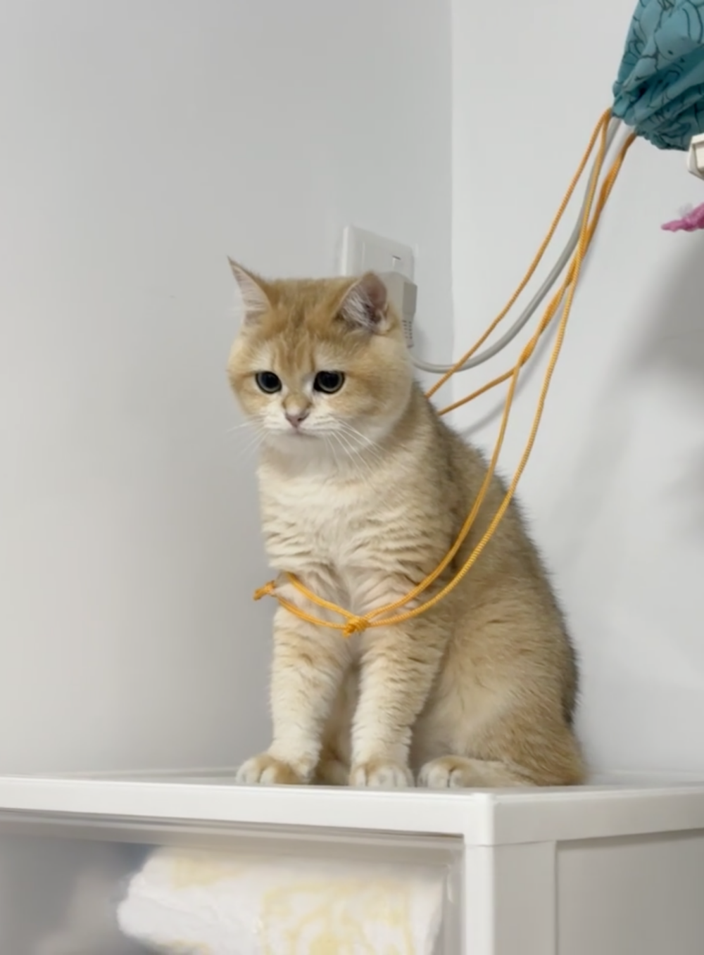 奴才:你怎麼進去就怎麼出來啊