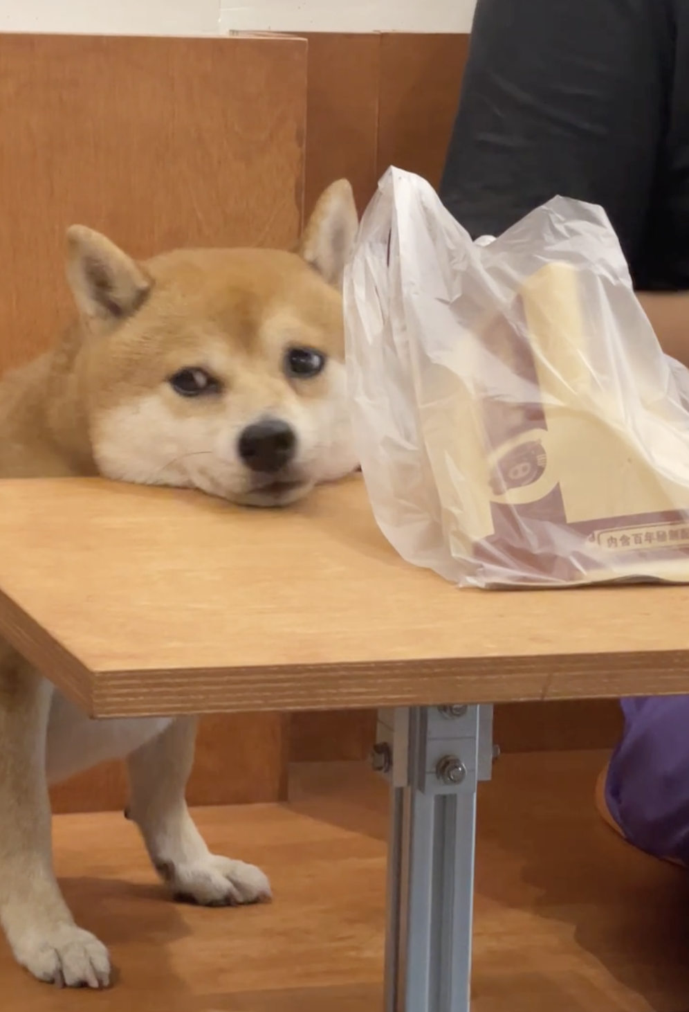 奴才:那當然,小零食已經準備好了