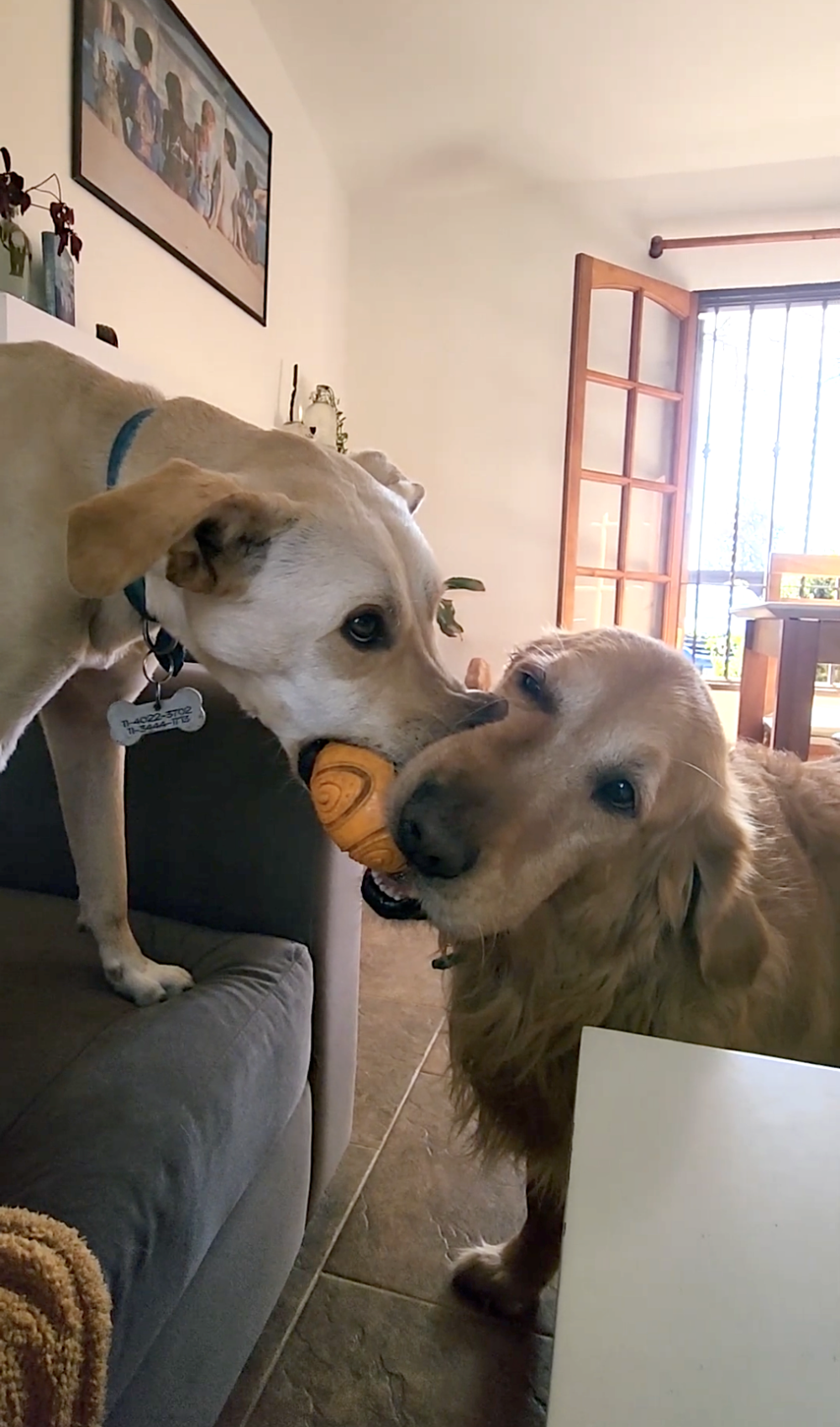 奴才：這樣要鬥到什麼時候啊？