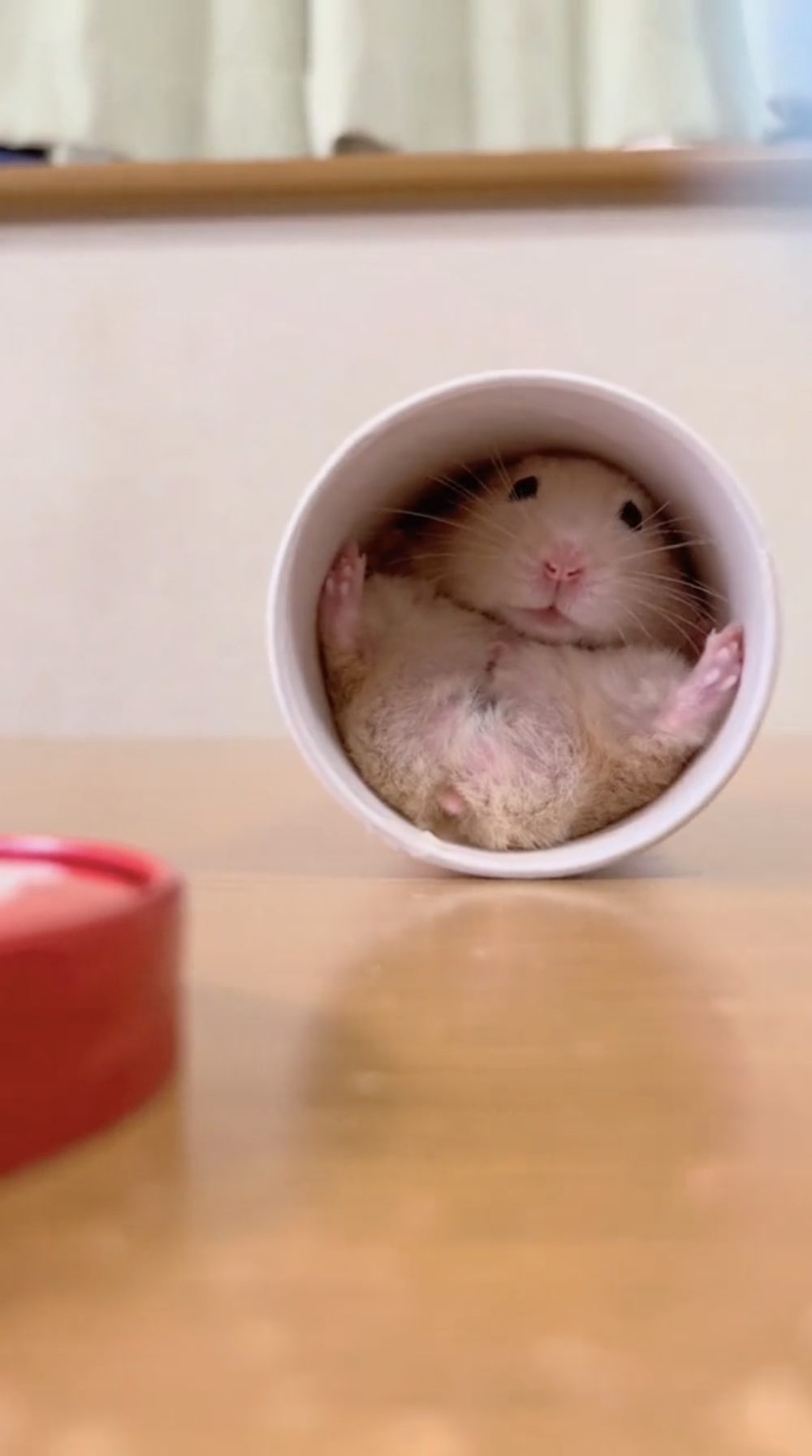 奴才:哇!還能看到你的絕技啊