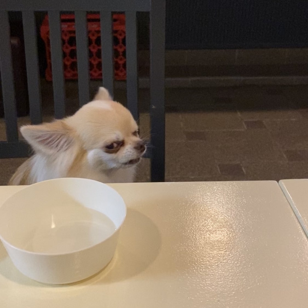 奴才：我還是很愛你噠