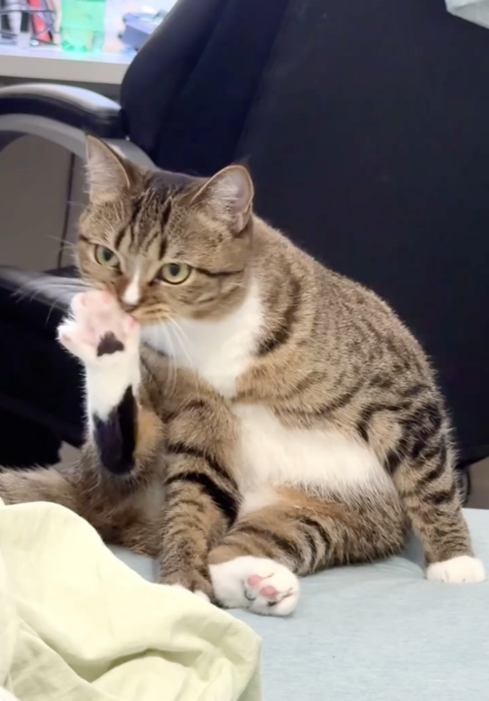 奴才：被自己的腳臭到了嗎？